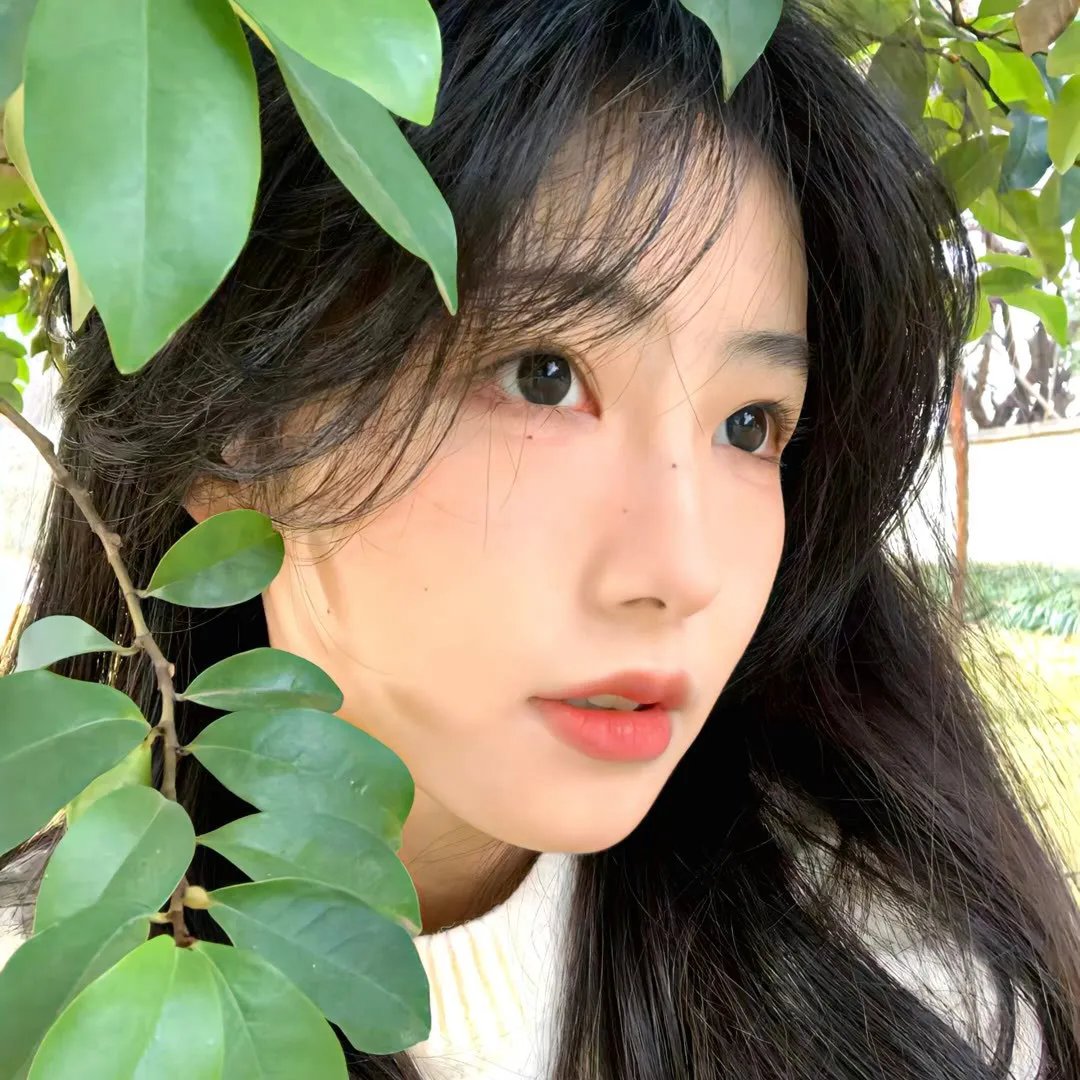 艾玛的机会